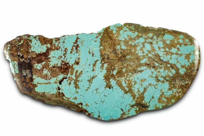Polished Turquoise Section - Number Mine, Carlin, NV #331183